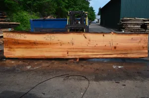 052819-06 Oregon Fir Slab