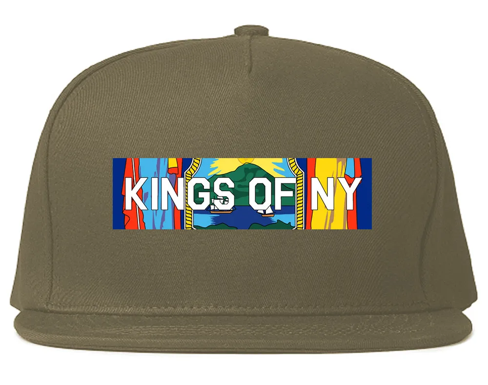 New York Flag Box Logo Mens Snapback Hat